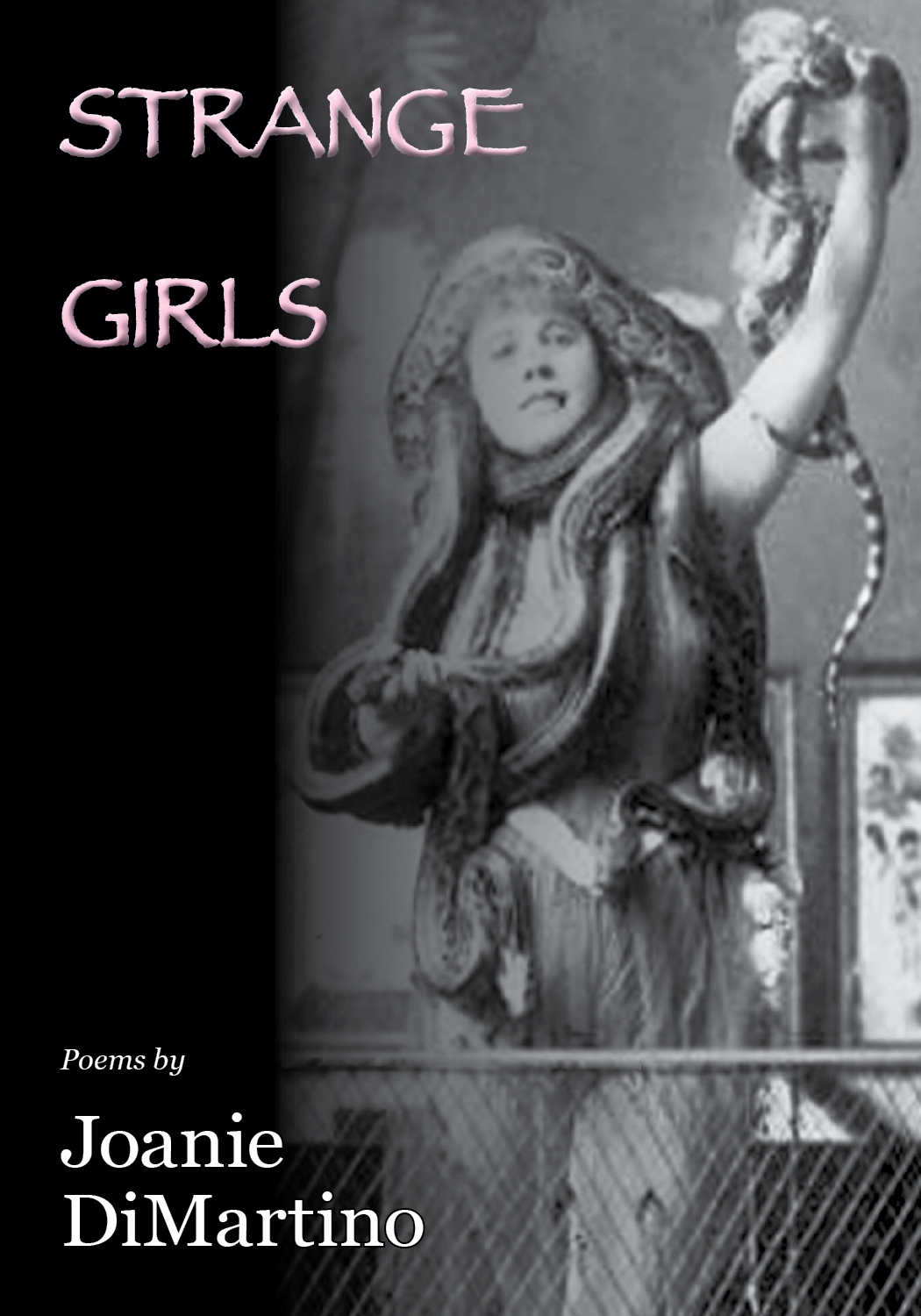 The Story of the Circus Women- an Era forgotten-that played a role in womens rights. The Snake Charmer, The Bearded Lady Tatoo Lady, and many others....